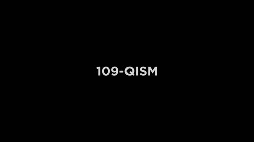 Серия 109