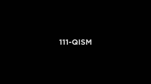Серия 111
