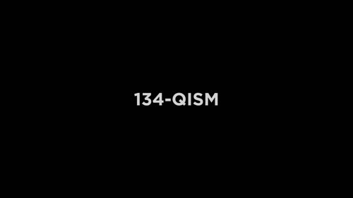 Серия 134