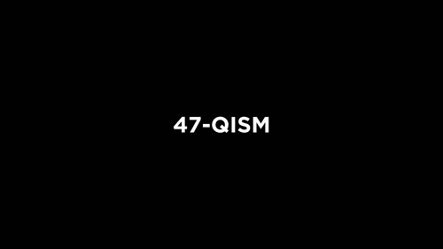 Серия 47