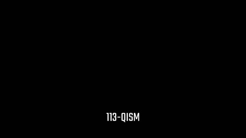 Серия 113