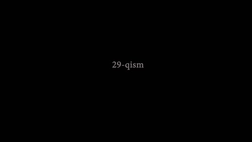 Серия 29