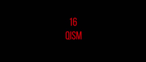 Серия 16