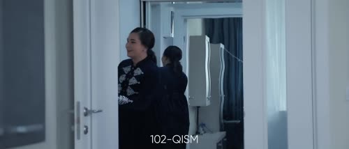 Серия 102