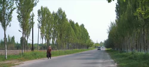 Серия 52