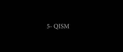 Серия 5
