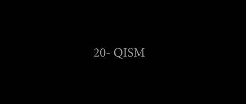 Серия 20