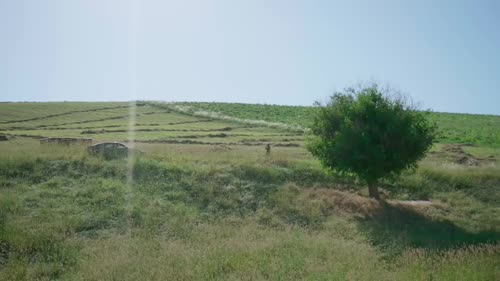 Серия 2