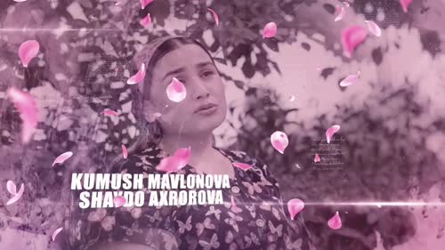 Серия 24