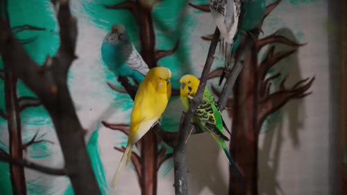 Серия 1