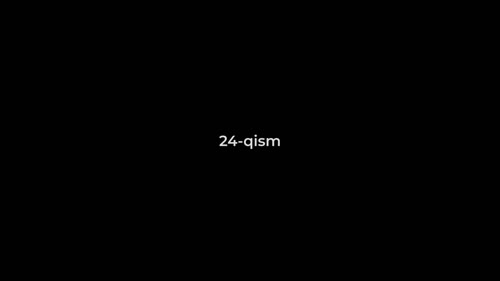 Серия 24