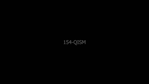 Серия 154