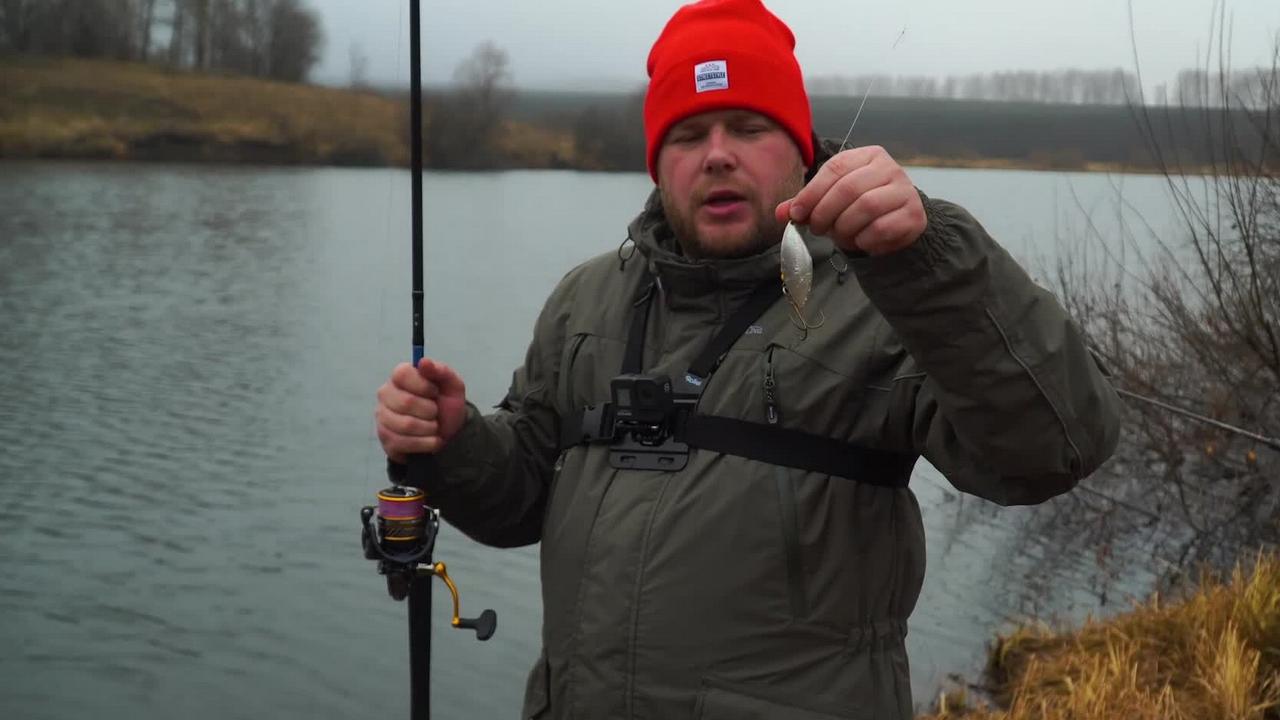 6 выпуск